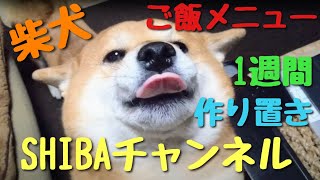 SHIBAチャンネル　柴犬2頭と保護猫３匹　完食！　ワンコに手作りご飯　１週間作り置き