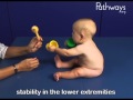 6 month Old Baby Typical and Atypical Development 6 month Old Baby Typical and Atypical Development