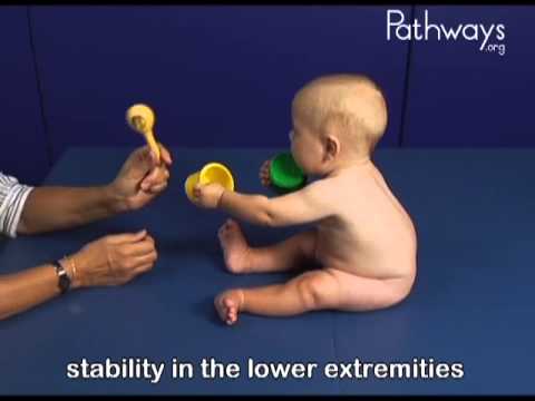 6 month Old Baby Typical and Atypical Development 6 month Old Baby Typical and Atypical Development