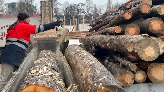 Processing the Unthinkable | Huge Logs to Perfect Wood Chips.