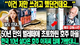 50년 만의 벌레떼에 초토화된 호주 마을 사람들, 한국 10년 살다온 호주 아저씨 집에 도착하자마자 1초만에 주저앉아 오열한 이유...