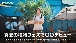 真夏の植物フェスSOUPでまさかの〇〇デビュー！このイベント色んな意味でアツかった。｜アガベ｜Agave｜塊根植物｜植物イベント