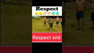 respect xml #shorts
