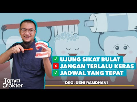 Video Cara Nak Gosok Gigi Yang Betul Oleh Doktor Gigi - TesskruwMassey