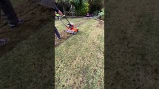 lawn scarification with Eliet 450