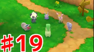 【3DS】ポケモン超不思議のダンジョン実況プレイ！♯19 【チャプター9 村の聖域】