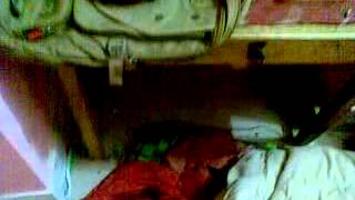 Sample of bachelor room. ব্যাচেলর রুম এর নমুনা