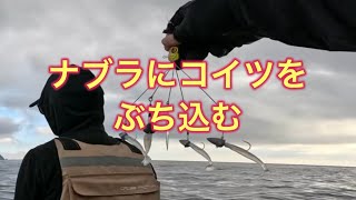 【2馬力ボート釣り】今回はゲストの釣りガールが主役！