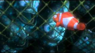 Finding Nemo - Swim Together!