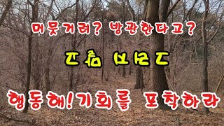 월동 청보리 유채새싹 성장기(24) 머뭇?머뭇!! 방관?? 그냥 시작하라 두고보지 말고 올바른? 일을 실현하 겠다는 투지를 발휘해라 행동하라 기회를 포착하라