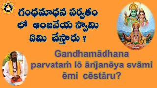 గంధమాధన పర్వతం లో ఆంజనేయస్వామి ఏమి చేస్తారు? Gandhamādhana parvataṁ lō  ān̄janēya svāmi ēmi cēstāru?