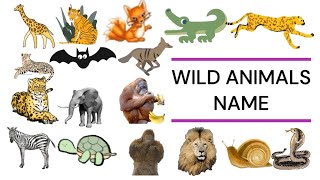 Wild animals | जंगली जानवरों के नाम | wild animals for kids | learn about 45 wild animls name.