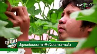 ปลูกเมล่อนบนดาดฟ้า เขียนลายตามสั่ง | 09-04-61 | ข่าวเช้าไทยรัฐ