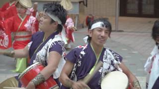 第1回YOSAKOI高松まつり2016　さぬき舞人