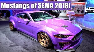 The Amazing Mustangs at SEMA 2018