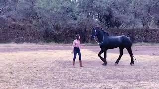 Ángela Aguilar monta a caballo