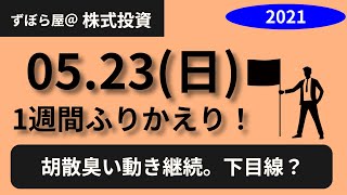 【株式投資】2021/05/17〜05/21　反発も今ひとつ？ビットコインが派手に下落している中、欧米も動きが怪しい？【1週間の振り返り】