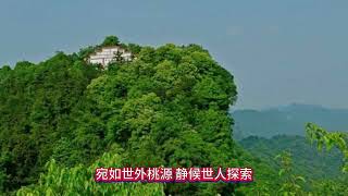 湖北竹山县发现大面积原始森林被曝光