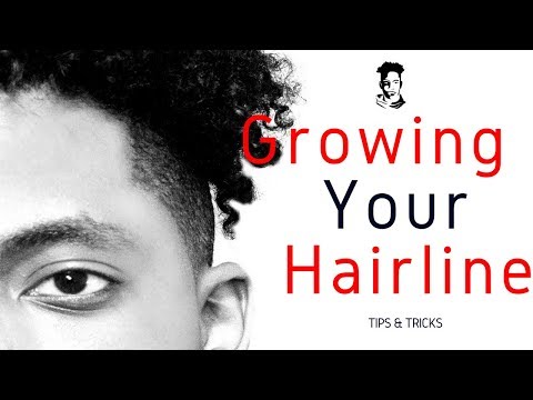 How To Grow Your Hairline Back / Barber Tips | WINSTONEE How To Grow Your Hairline Back / Barber Tips | WINSTONEE