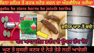 ਬਿਨਾ ਜ਼ਹਿਰ ਤੋਂ ਕਣਕ ਸਟੋਰ ਕਰਨ ਦਾ ਤਰੀਕਾ gehu ko store karne ka jaivik tarika how to store wheat in home