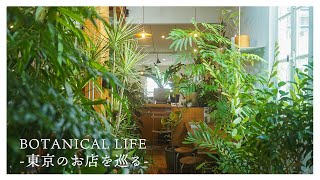 植物好きが巡る東京で見つけた素敵なお店をご紹介｜under the mat｜SORANE coffee stand｜seeding｜La vie a la Campagne｜中目黒｜自由が丘