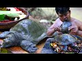 {Graphic} Soft Shell Turtle Clean - Cooking soft Shell Turtle Tasty Food in Asian Culture Recipe