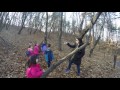 forest kindergarten designing shelter