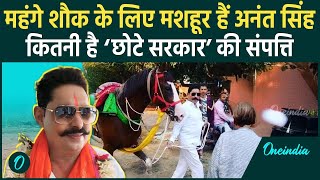 Anant Singh Attacked : कितनी है अनंत सिंह की Net Worth ? |Sonu-Monu|Bihar| वनइंडिया हिंदी