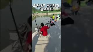 전설의 오동나무 낚시대가 필요했다 #shorts #낚시 #fishing