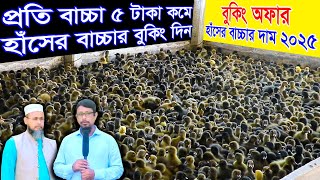 Offer! হাঁসের বাচ্চার বুকিং দিলেই অফার | হাঁসের বাচ্চার দাম ২০২৫ | শাহজালাল হাঁসের খামা Duck Farming