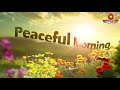 മഹത്തായ ഒരു പ്രഭാത ശീലം peaceful morning peace of mind tv malayalam