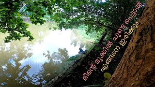 കാർപ് ഫിഷിങ് #fishing #mrigal #carpfishing #fishingvideo #mrigalfishing