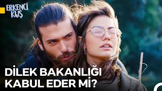 Can Divit Usulü Dilek Tutma Romantizmi - Erkenci Kuş