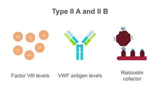 Interpreting tests for von Willebrand disease (VWD)