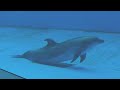 上越市立水族博物館うみがたり　joetsu aquarium 2022.07.23