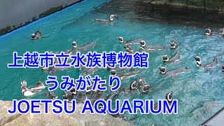 上越市立水族博物館うみがたり　JOETSU  AQUARIUM (2022.07.23)