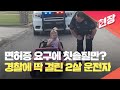 [현장영상] 경찰에 딱 걸린 미국 2살 아기 운전자…“면허증 요구에 칫솔질만” / KBS 2023.11.01.