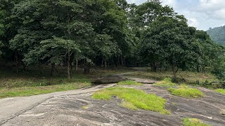 Mamalakkandam Forest