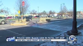 Noon: Cops seek black van in deadly hit-skip