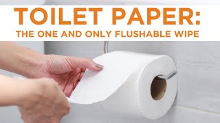 Toilet Paper - The One and Only Flushable Wipe