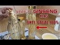 BEGINI CARA MEMBUAT GINSENG HIAS | DIJAMIN ANTI GAGAL