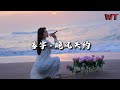 善宇 - 晚风失约『深宵冷月朦胧，陪我迎悲星满天。』【动态歌词MV】