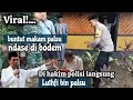 Viral!! USTADZ ABDUL SOMAD ANGKAT BICARA!! LUTFI BIN palsu,78 MAKAM ULAMA DAN WALI DI WONOSOBO PALSU