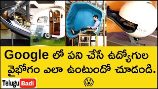 Google లో ఉద్యోగం ఎంత బాగుంటుందో చూడంది | Mind Blowing Facilities and Benefits of Google Employees