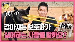 [Eng sub] 강아지는 보호자가 싫어하는 사람을 알까요?｜강형욱의 소소한 Q\u0026A