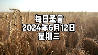 【每日圣言】2024年6月12日 星期三