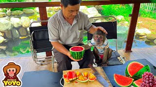 Grandpa takes YoYo Jr to buy fruit to make fruit jelly