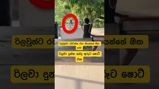 රිලවා මොනවද ඒ කියන්නේ #funny #srilankafunnyvideo #funnymouthvideo #athal #funnyshorts #trending