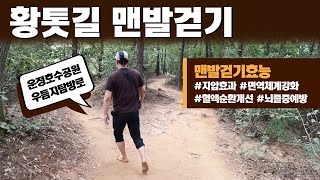 몸에 좋아 만병통치약이라는 맨발걷기 제대로 해보기