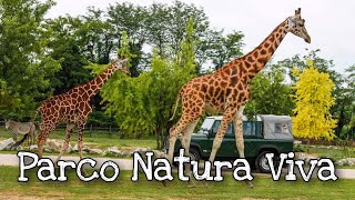 PARCO NATURA VIVA BUSSOLENGO #PARCONATURAVIVA